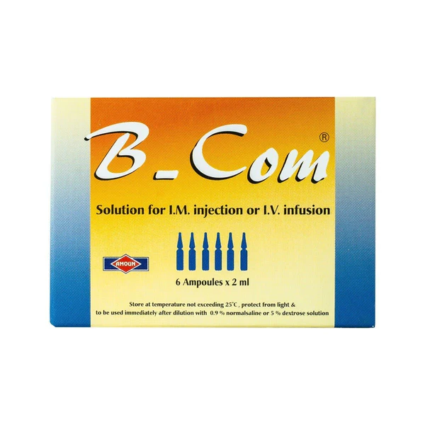 B-COM 6 amp