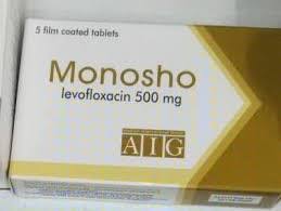 MONOSHO 500 mg tab