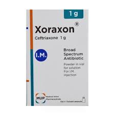 xoraxon 1 gm im vial